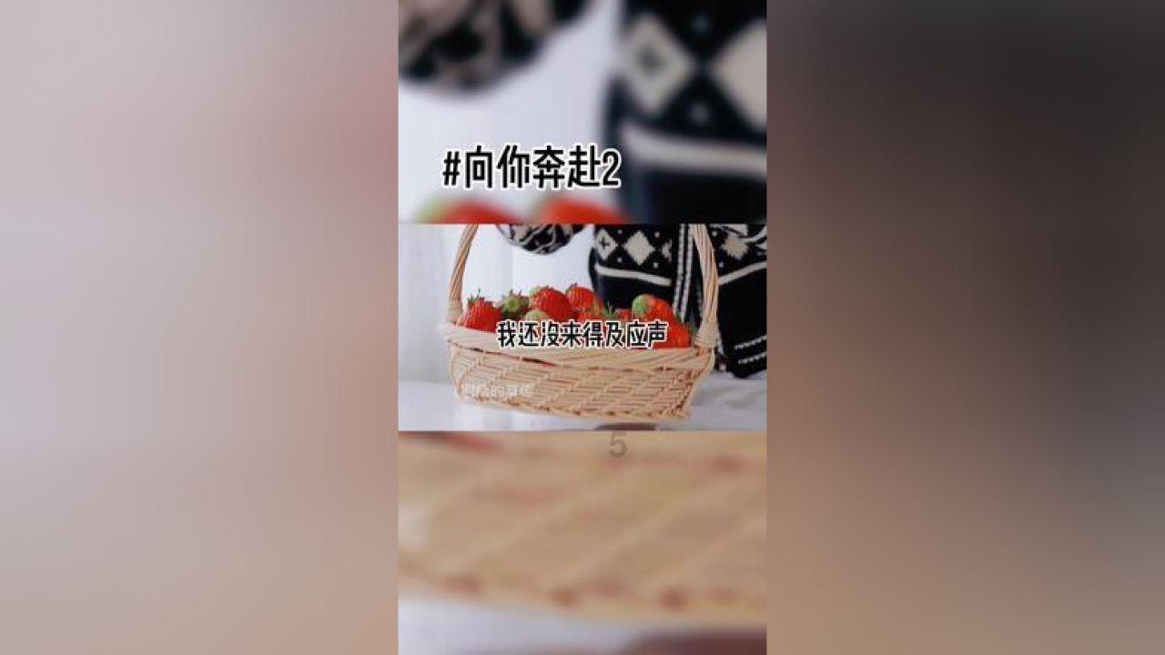 有趣的动物拼图