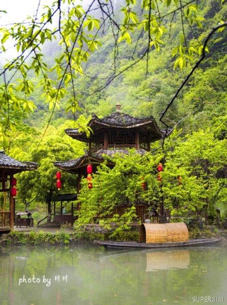 虫虫助手下载