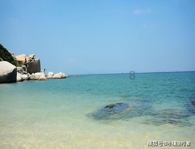 细胞分裂4